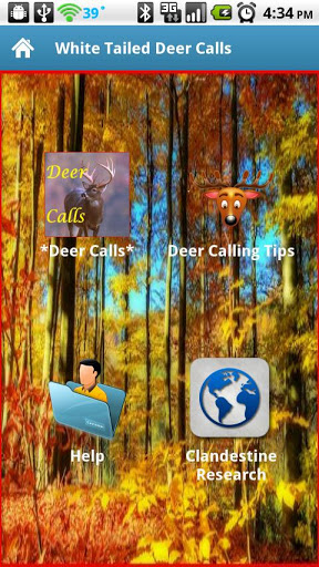 White Tailed Deer Calls截图2