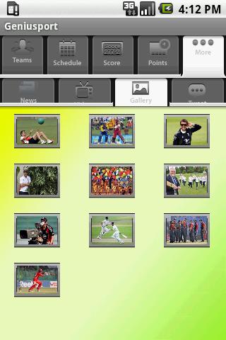 Icc World Cup 2011截图3