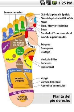 Reflexolog&iacute;a Podal截图