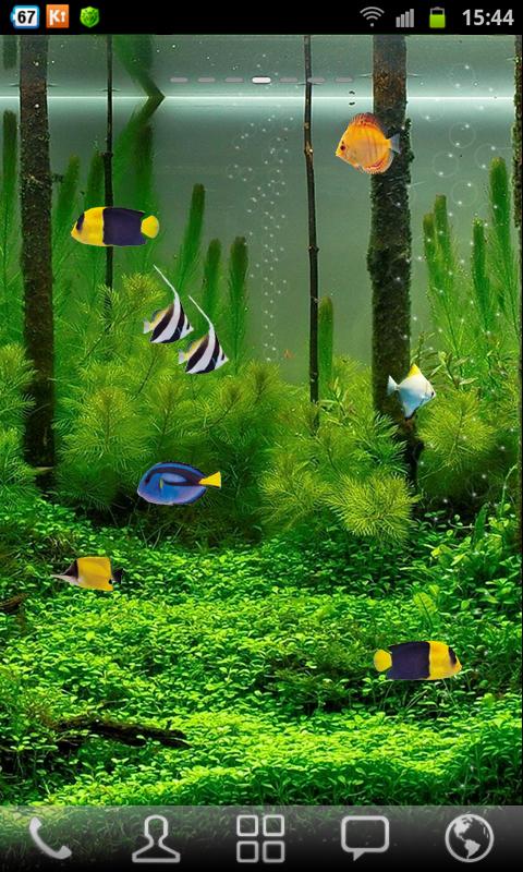 Free Aquarium Live Wallpaper截图4