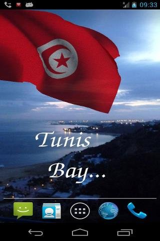 Tunisia Flag截图5