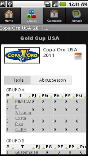 Copa Oro 2011截图1