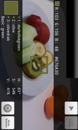 Camera Color Picker截图2