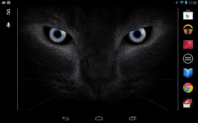 Black cat eyes live wallpaper截图3