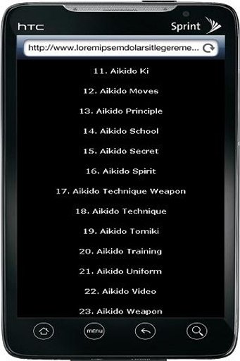 Aikido Secret截图4