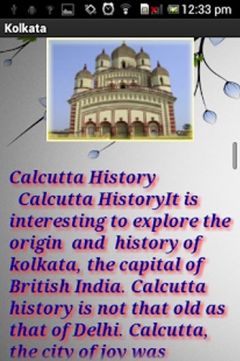 Kolkata City Tour(Calcutta)截图3