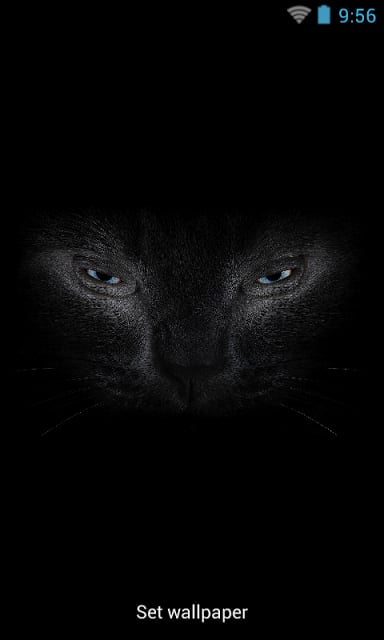 Black cat eyes live wallpaper截图5