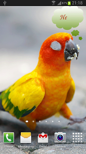 Talking Parrot 2截图1