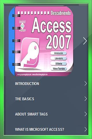 Access 2007截图5