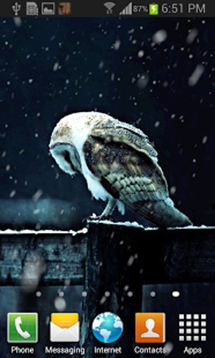 Snowy Owl Live Wallpaper截图3