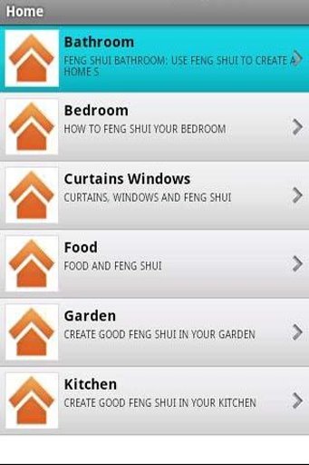Feng Shui Tips截图1
