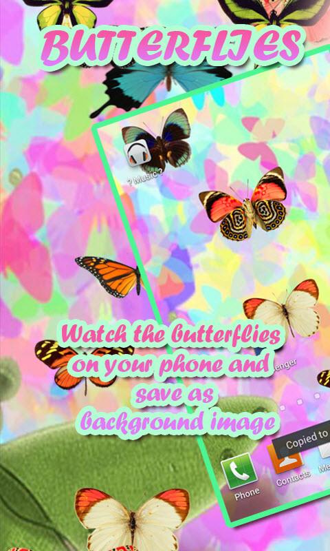 Butterflies on your Phone LWP截图3