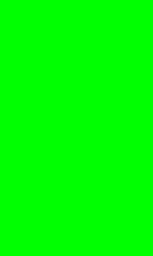 Green Screen for Video截图2