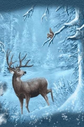 Deer &amp; Squirrel In Winter截图4