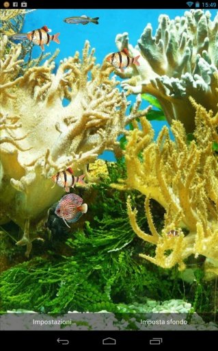 Aquarium Live Wallpaper FREE!截图11