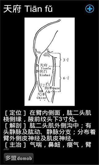 穴位图册详解截图1