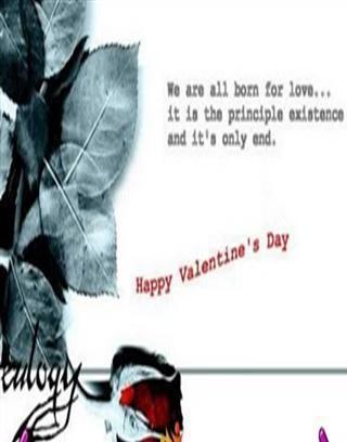 Happy valentines day2013截图1