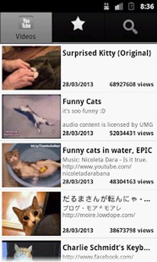 Funny Cats TV截图5