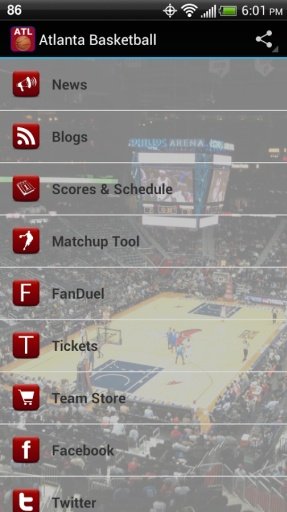 亚特兰大篮球截图8