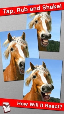 Angry Horse Free!截图3