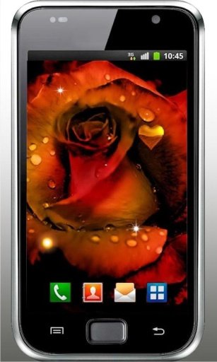 Gothic Rose Live Wallpaper截图6