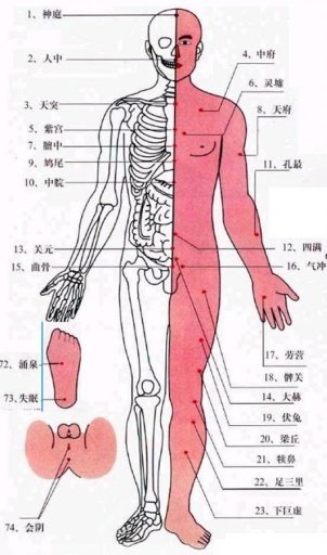 针灸穴位图截图1