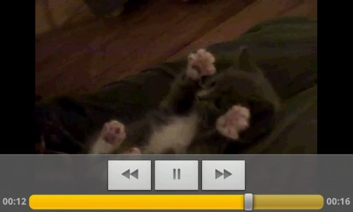 Funny Cats TV截图3