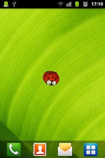 ladybug截图2