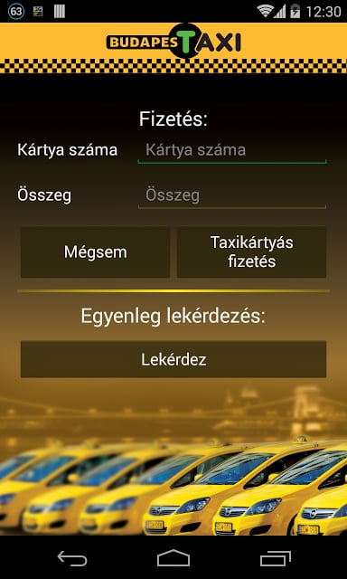 Budapest Taxi截图6