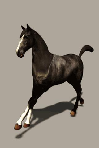 Black Horse Live Wallpaper截图1