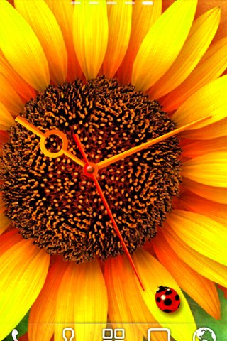 SunFlower* LWP Trial截图4