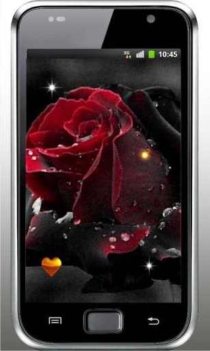 Gothic Rose Live Wallpaper截图1