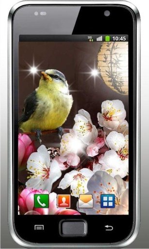 China Garden Live Wallpaper截图5