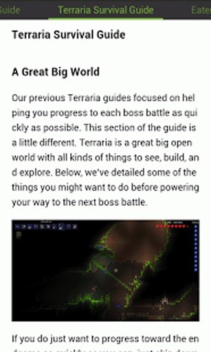 Terraria Cheats Guide截图10