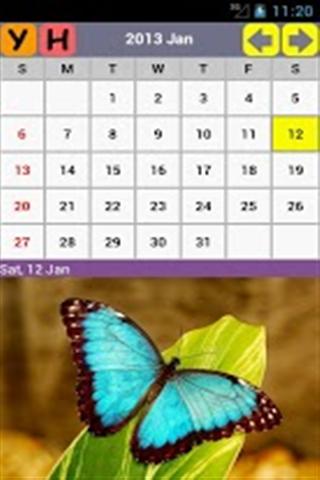 年蝴蝶日历 Butterfly Calendar2013截图4