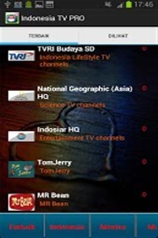 印尼电视 Indonesia TV PRO 250 Channels截图4