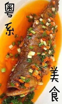 舌尖上的粤菜截图