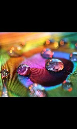 Colorful Hd Live Wallpaper截图7