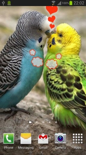 Talking Birds截图4