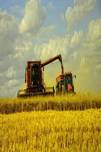 Hay Harvest Day 2截图4