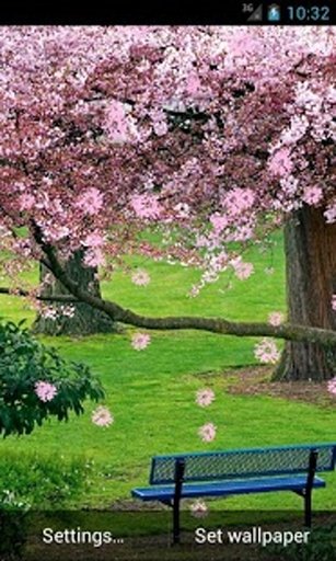 Amazing Spring Live Wallpaper截图8