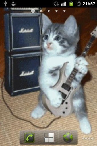 RocknRoll Cat LWP截图2