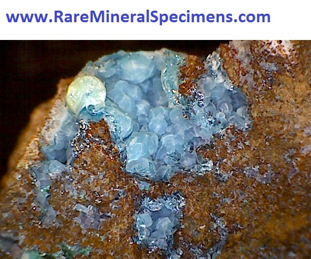 Rare Mineral Specimens截图1