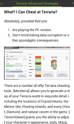 Terraria Cheats Guide截图5