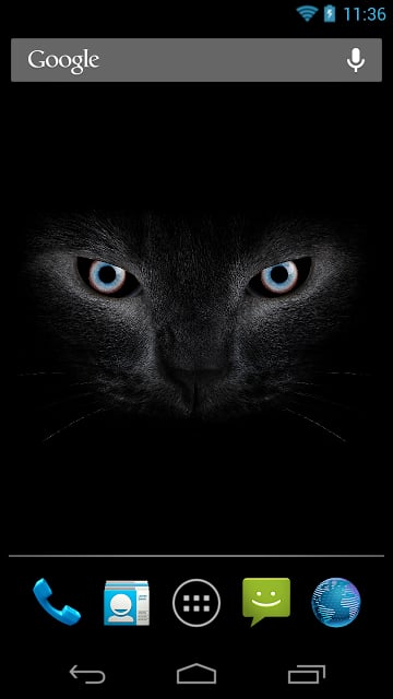 Black cat eyes live wallpaper截图1
