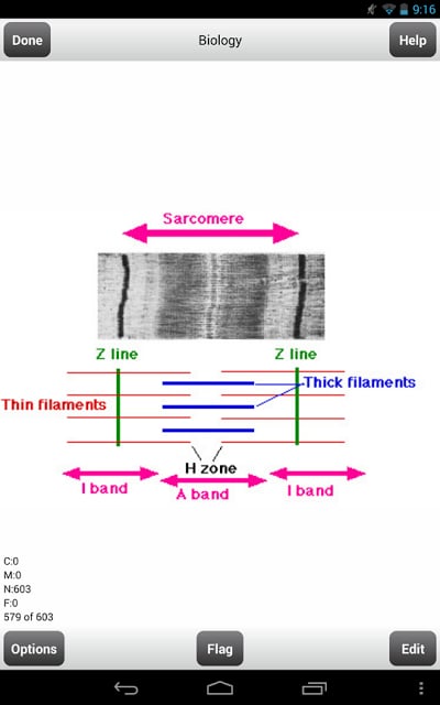 Pre-Med MCAT Flashcards Lite截图5