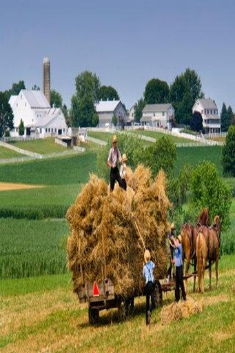 Hay Harvest Day 2截图8