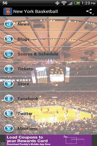 New York Basketball截图3