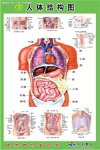 人体结构图截图2