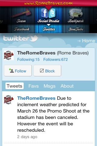 Rome Braves截图5